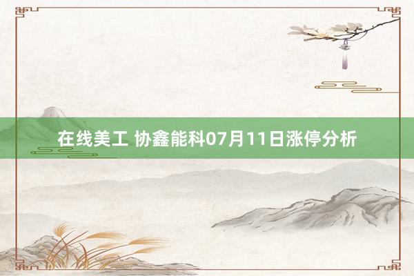 在线美工 协鑫能科07月11日涨停分析