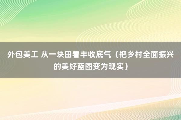 外包美工 从一块田看丰收底气（把乡村全面振兴的美好蓝图变为现实）